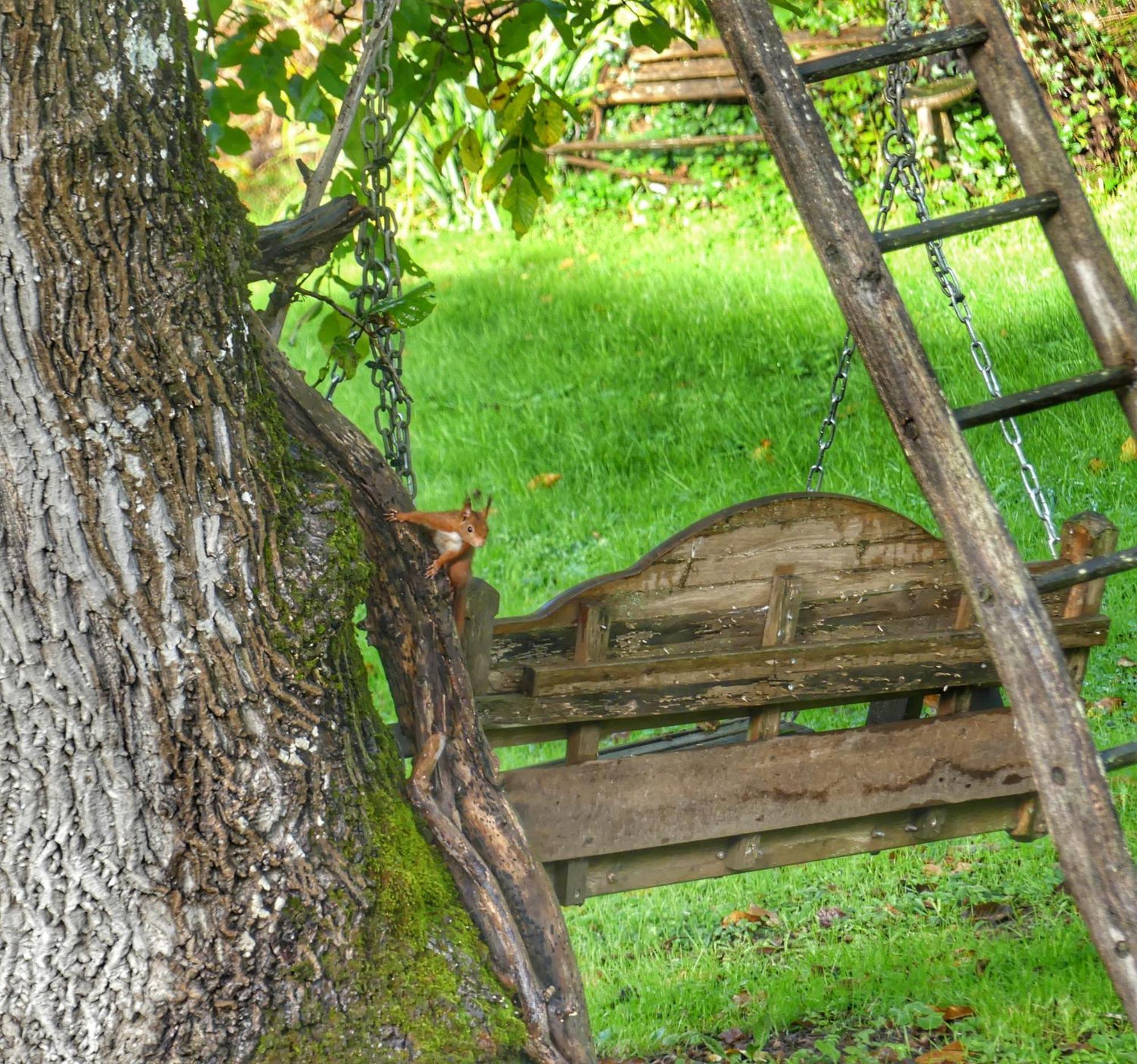 Au Coeur Des Loges Bed & Breakfast Saint-Bonnet-de-Bellac Exterior foto